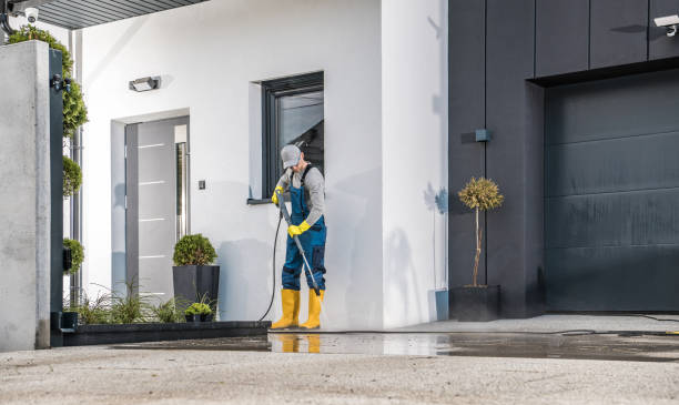 Best Graffiti Removal  in Horizon West, FL